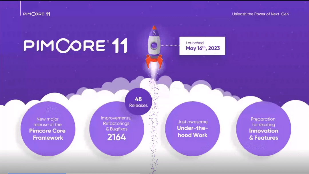 Pimcore 11 update summary