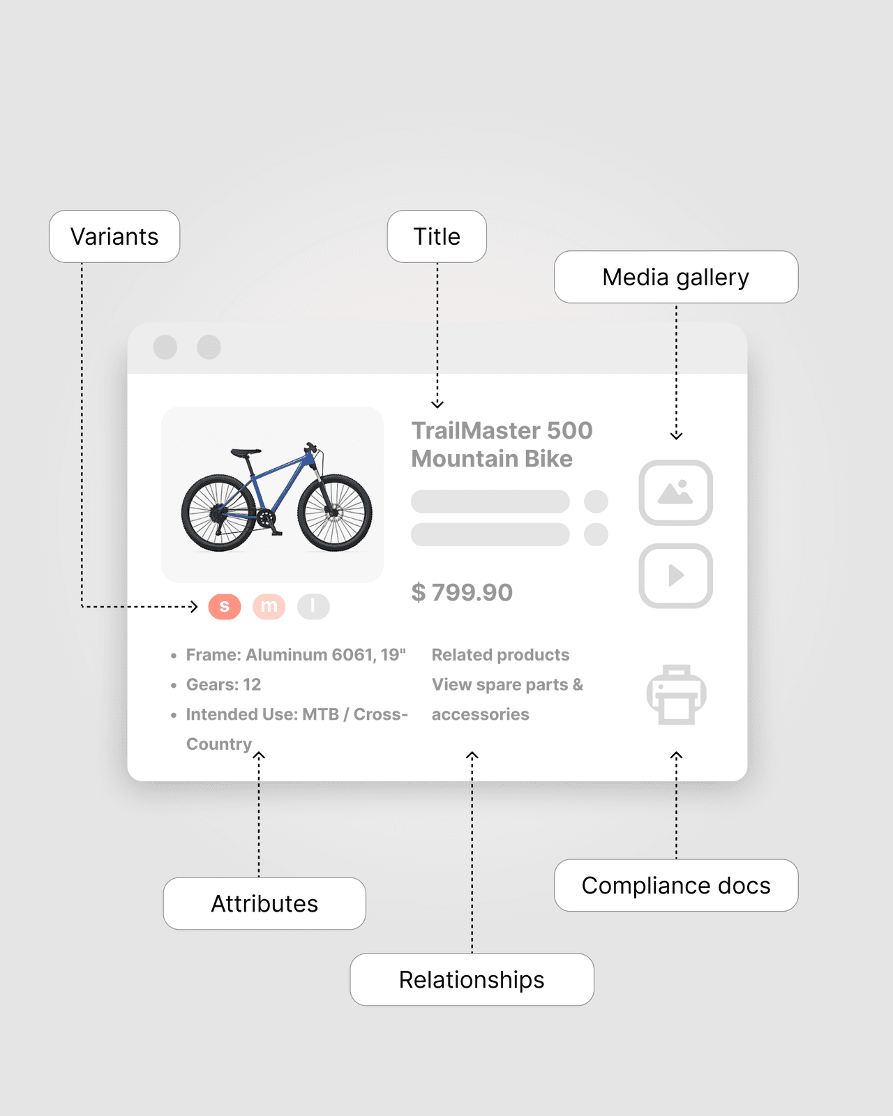 Pimcore: What is it and what does it offer? - image2 product information examples