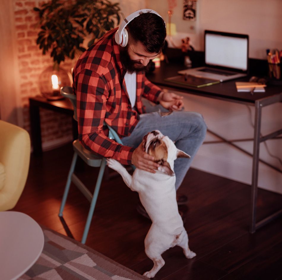 Young man petting dog while working from home_image
