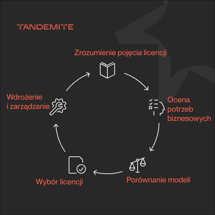 Understand licensing before you commit. The models behind PIM, e-commerce & headless CMS - image2 PL How can a client make a well-grounded decision