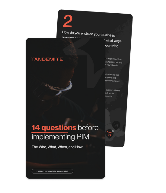 E-book 14 questions before implementing PIM - header banner