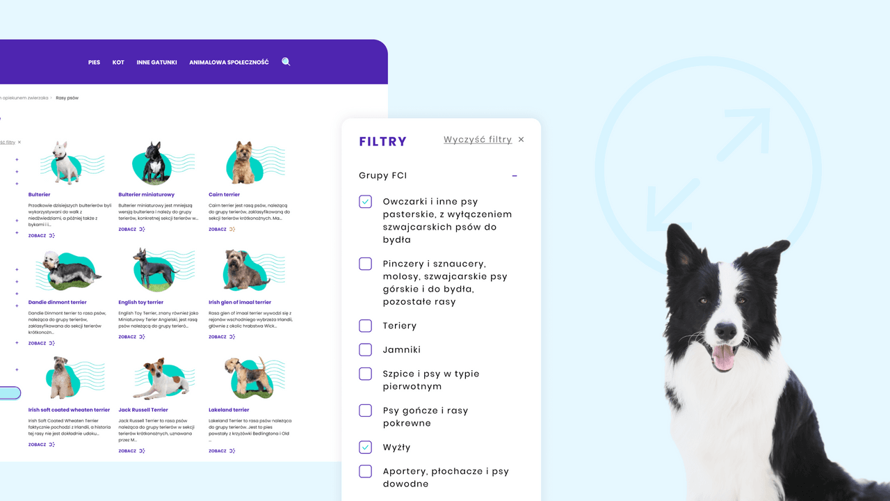 Case study Zoocial/Animal Care image2
