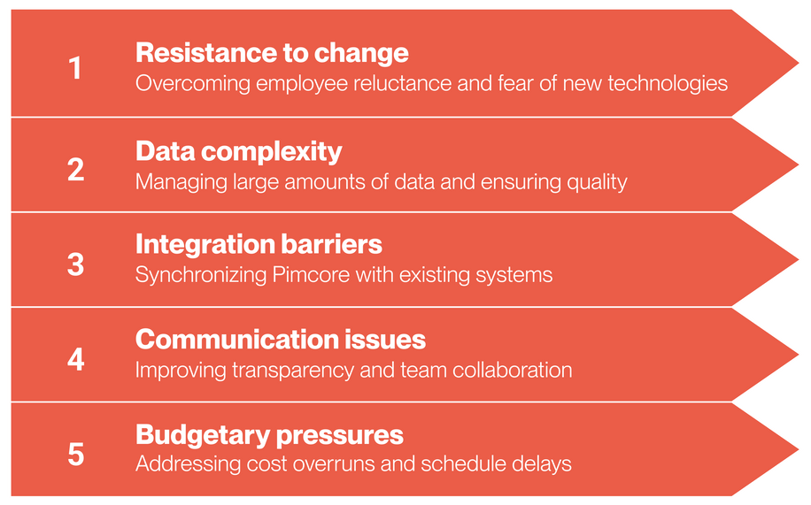 How to make Pimcore generate the expected ROI. The importance of change management - image1 Pimcore challenges