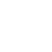 Tandemite icon white: flag