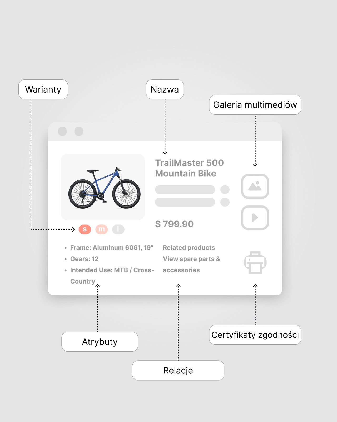 Pimcore: What is it and what does it offer? - image2PL product information examples