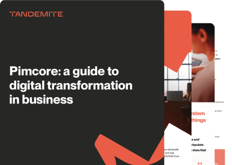 Pimcore: a guide to digital transformation in business