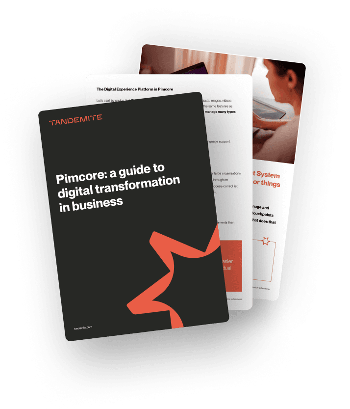 Pimcore: a guide to digital transformation in business