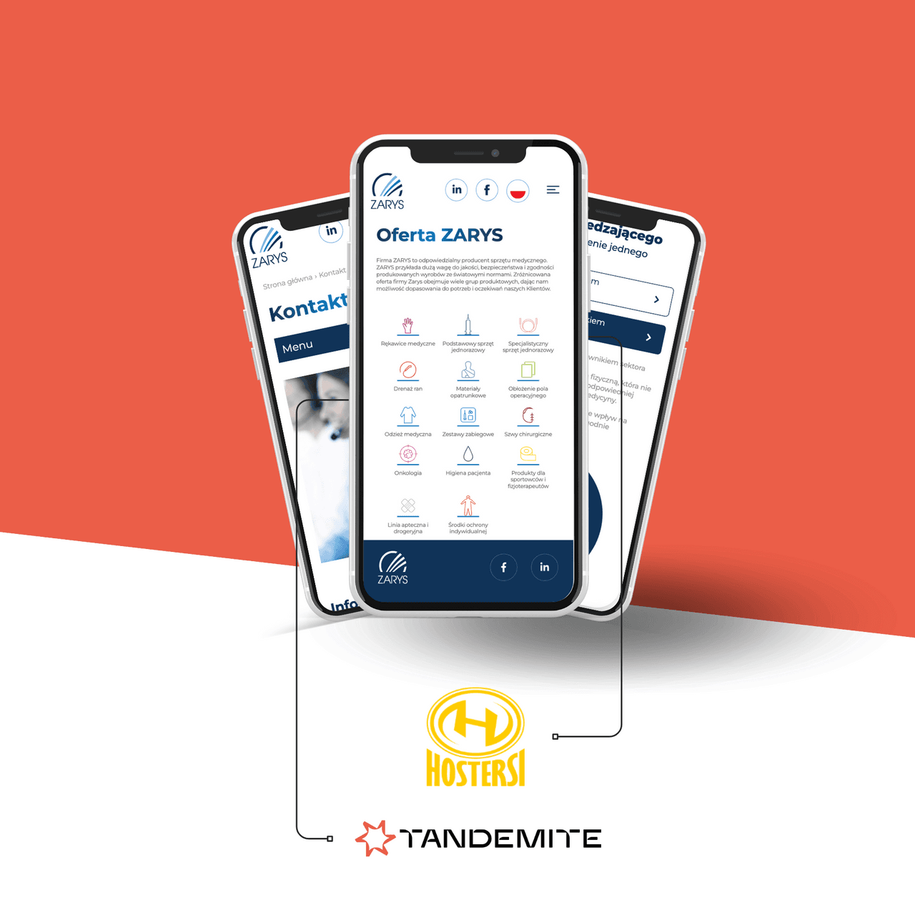 Mobile interface of the ZARYS website