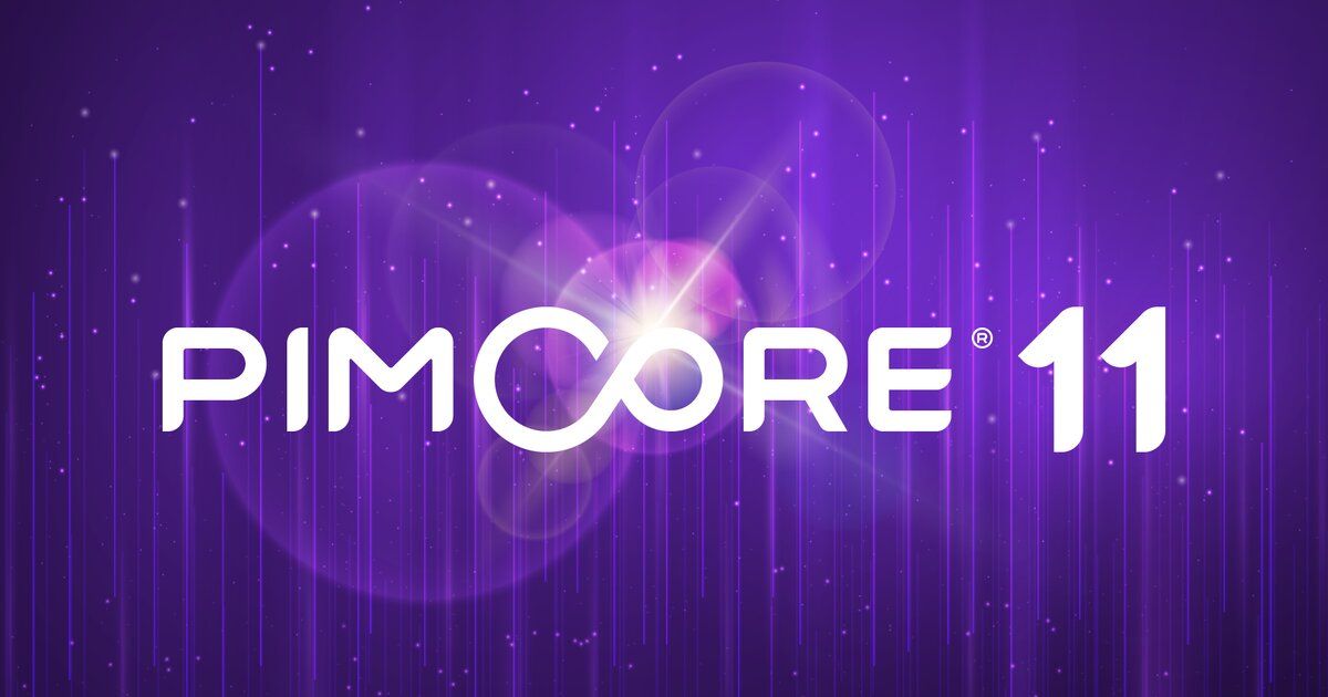 TOP 6 B2B Softwares for Digital Transformation_image4_Pimcore 11