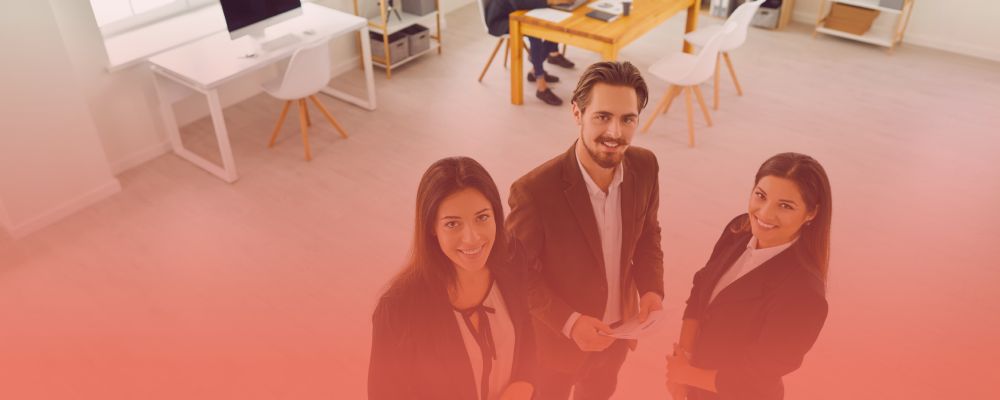 Business team in a modern office discussing digital transformation and B2B software solutions for organizational growth