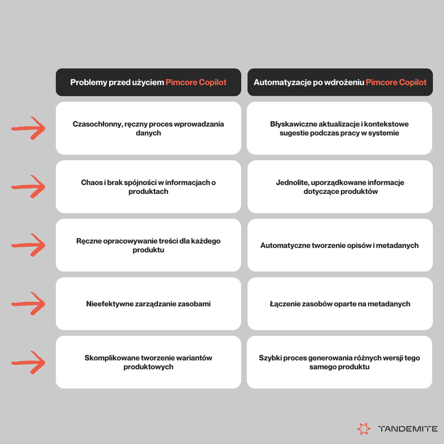 The power of AI in managing product data: A dive into Pimcore Copilot - image1 PL