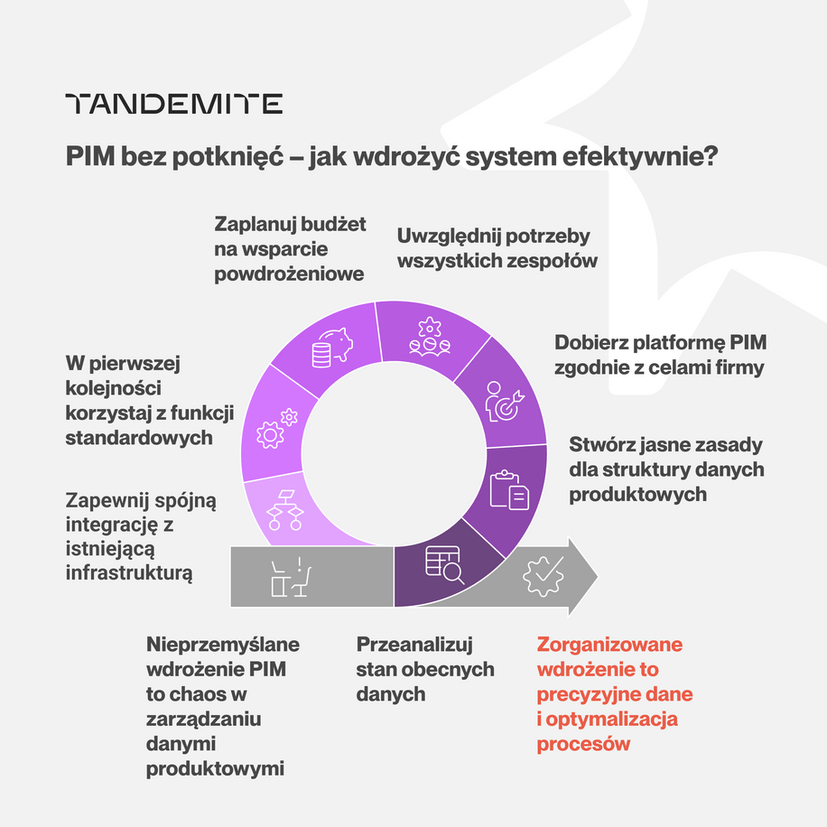 Pitfalls of PIM implementation. Tips to protect your investment - image2PL
