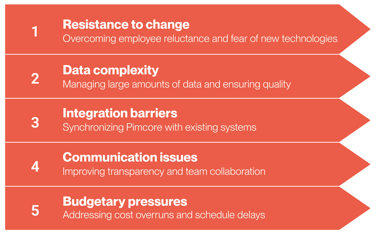 How to make Pimcore generate the expected ROI. The importance of change management - image1 Pimcore challenges